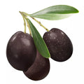 Olive Tree Seeds for Planting | 10 Seeds | Olea europaea | Mediterranean Variety