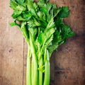Utah Celery Seeds - 3000 Non-GMO Seeds - Apium graveolens - USA Seller