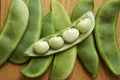 Lima Bean Seeds - Fordhook 242 Variety - Fresh & Organic - Phaseolus lunatus - Free Shipping