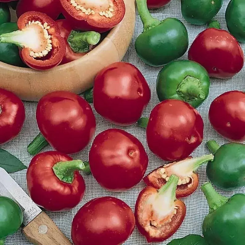 Red Cherry Hot Pepper Seeds - 10+ Count - Heirloom, Organic, Non-GMO - Pimenta