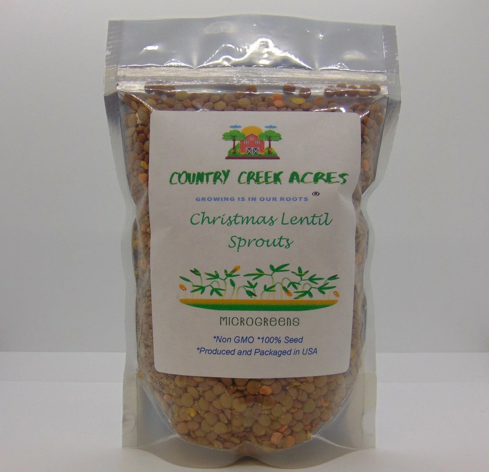 Christmas Lentils 4 oz - Organic Green Lentils - Nutrient-Rich Legumes for Cooking & Sprouting - Lens culinaris