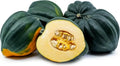 Organic Acorn Winter Squash Seeds - 10 Pack - Heirloom Variety - Cucurbita pepo - USA Grown, Free Shipping