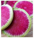 Watermelon Radish Seeds for Planting - 250+ Rare Exotic Vegetable Seeds - Raphanus sativus