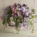 Spencer Ripple Mix Sweet Pea Seeds - 50+ Pack - Lathyrus odoratus - Garden Flower Seeds - USA