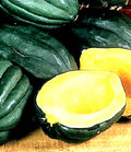 Table Queen Acorn Squash Seeds - 10 Non-GMO Seeds - Cucurbita pepo - Heirloom Variety for Home Gardening