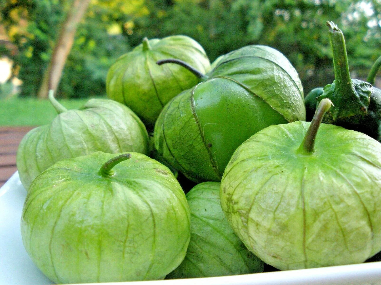 Tomatillo Gigante Seeds - Organic Summer Vegetable - Easy Grow for Container Gardening - Perfect for Home Garden