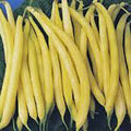 Golden Wax Bean Seeds - 500+ Non-GMO Bush Bean Seeds - Great Tasting & Healthy (Phaseolus vulgaris)