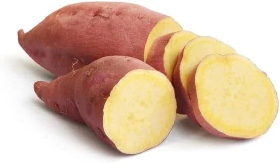 Yams Slips for Planting - Yellow Murasaki Sweet Potato Slips - Heirloom Variety, Organic, 6-8 Inches