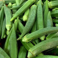 Okra Seeds 50 Ct Clemson Spineless Non-GMO Vegetable Seeds - Quality USA Seller, Free Shipping