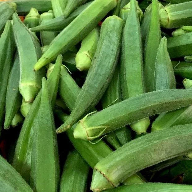 Okra Seeds 50 Ct Clemson Spineless Non-GMO Vegetable Seeds - Quality USA Seller, Free Shipping