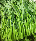 Thai Water Spinach Seeds - 50+ Ong Choy Kangkong - Edible Garden Vegetable - Ipomoea aquatica - Fast Growing USA