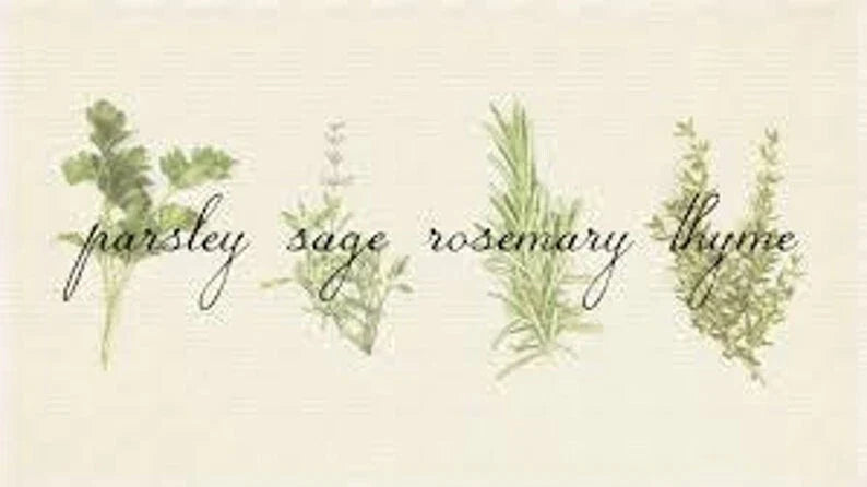 Culinary Herb Seed Set | Parsley, Sage, Rosemary, Thyme | Gift Pack | Garden Seeds