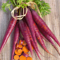 Cosmic Purple Carrot Seeds - Fresh Heirloom Vegetable Seeds - Daucus carota