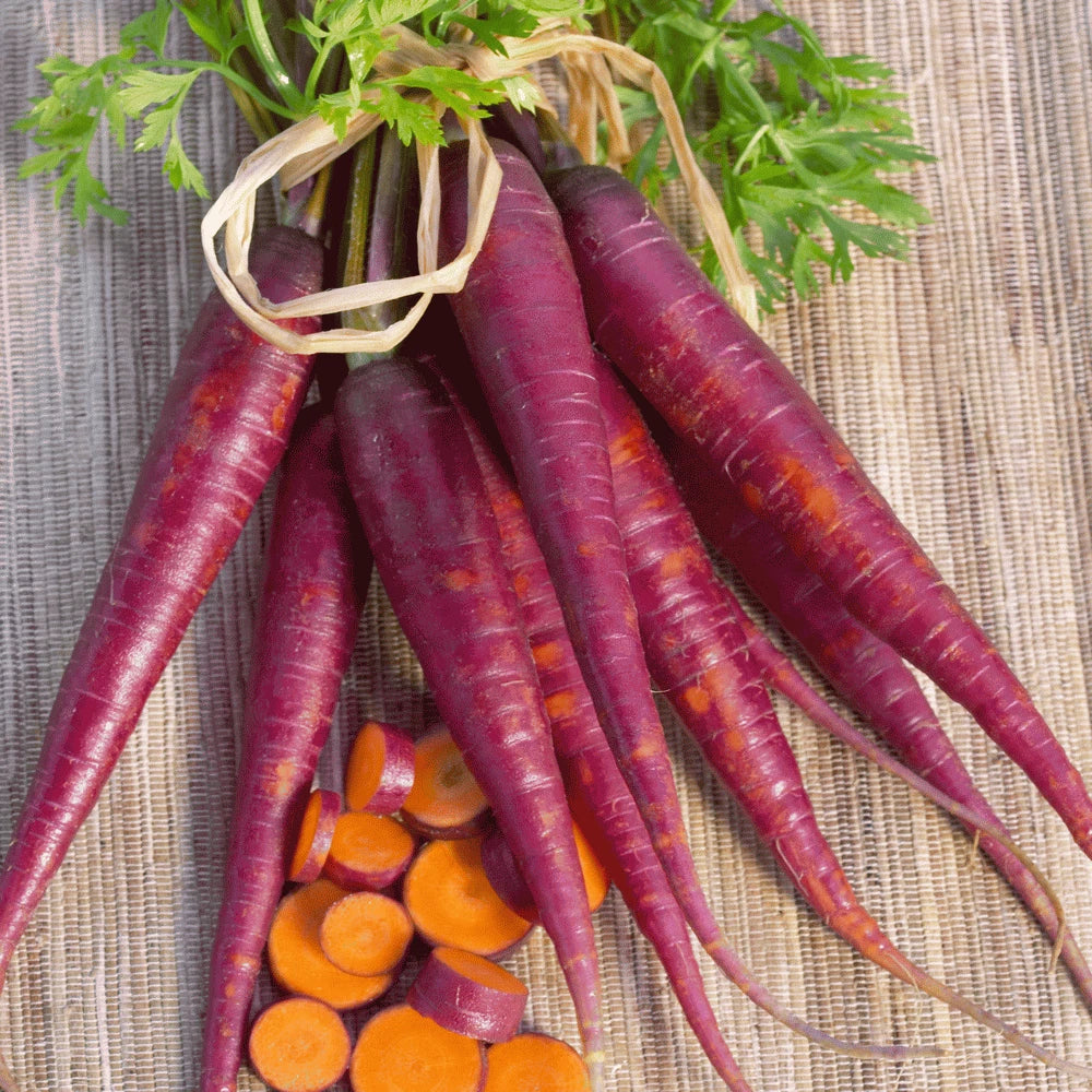 Cosmic Purple Carrot Seeds - Fresh Heirloom Vegetable Seeds - Daucus carota
