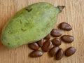 Paw Paw Fruit Tree Seeds - 20 Pack, Asimina Triloba, Indiana Banana, Fresh Viable Seeds for Planting, Garden Essentials