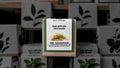 Seed Bombs - MR. SANDMAN™ Variety for Erosion Control in Arid Zones & Deserts - Bad Apples