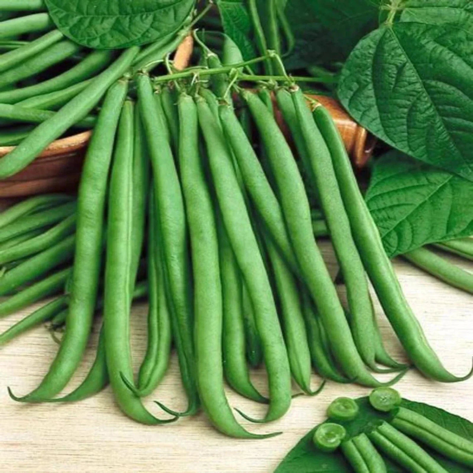 Top Crop Bush Green Bean Seeds - Heirloom, NON-GMO, Stringless, Organic Variety, Phaseolus vulgaris