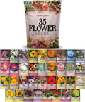 Wildflower Seed Kit - 35 Variety Pack - Perennial & Annual Flowers - Diverse Garden Mix