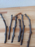 Fig Cuttings - 6 Total Conadria Variety - Ficus carica - Ideal for Home Gardening and Propagation