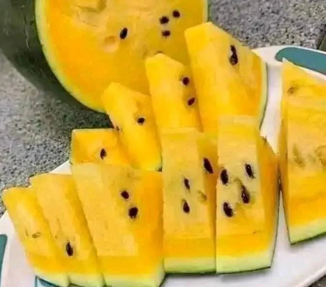 Yellow Watermelon Seeds - 10+ Non-GMO, True To Color, Rare Variety - Citrullus lanatus