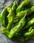 Organic Shishito Pepper Seeds - 25 Fresh Premium Seeds - Japanese Variety (Capsicum annuum)