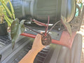 Rare Philodendron Black Majesty Plant - Fully Rooted, Tropical Houseplant - Philodendron 'Black Majesty' - Ships from FL
