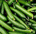 Slicer Cucumber Seeds - Marketmore Variety, 50 Seeds, Cucumis sativus for Home Gardening