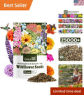 Wildflower Seeds 1 Ounce Hummingbird & Butterfly Mix 24 Varieties (Native Wildflowers)