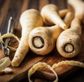 Hollow Crown Parsnip Seeds - 2000 NON-GMO Vegetable Garden Seeds - Pastinaca sativa