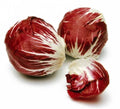 Radicchio Seeds - Palla Rosa Variety - Vitamin Packed - 100 Seeds - Ideal for Home Gardening