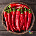 Red Cayenne Hot Pepper Seeds - 25+ Pack - Capsicum annuum - Ideal for Garden Planting, USA Grown