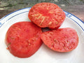 German Johnson Tomato Seeds - Organic Heirloom - 30+ Non-GMO Pack - Perfect for Gardening, Solanum lycopersicum
