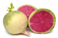 Watermelon Radish Seeds Non-GMO Heirloom for Backyard Gardening - Raphanus sativus