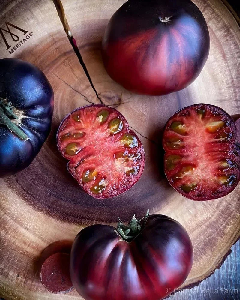 Black Beauty Tomato Seeds - Organic Heirloom Variety - 10+ Seeds - Rare Heirloom Black Beauty (Solanum lycopersicum)