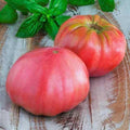 Pink Brandywine Tomato Seeds | Heirloom Non-GMO Variety | Organic Gardening | Solanum lycopersicum