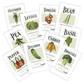 Vegetable Garden Seeds Collection 10 Pack - Diverse Edible Varieties for Home Gardening - Non-GMO Organic Seeds