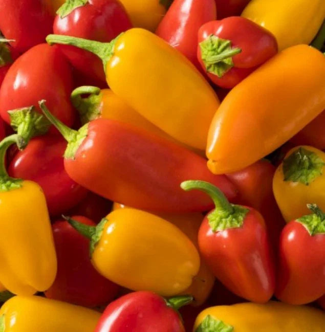 Hot Pepper Seeds - Sante Fe Grande - 50 Non-GMO Seeds - 5000 Scoville Units - Perfect for Spicy Dishes and Gardening
