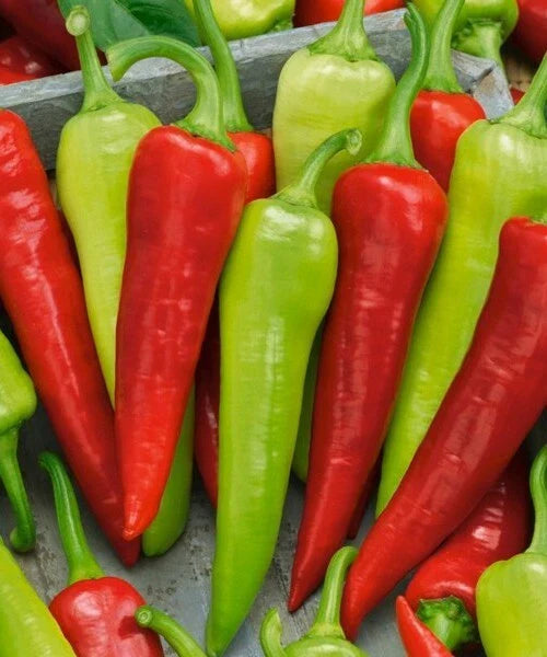 50+ Sweet Banana Pepper Seeds - Heirloom Non-GMO - Capsicum annuum - Fresh USA Grown