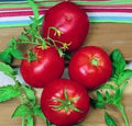 Ace 55 Tomato Seeds - Heirloom, Non-GMO, 10+ Seeds - Solanum lycopersicum