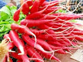 Organic Red Arrow Radish Seeds - 301+ Count - Mild Sweet Variety for Container Vegetable Garden