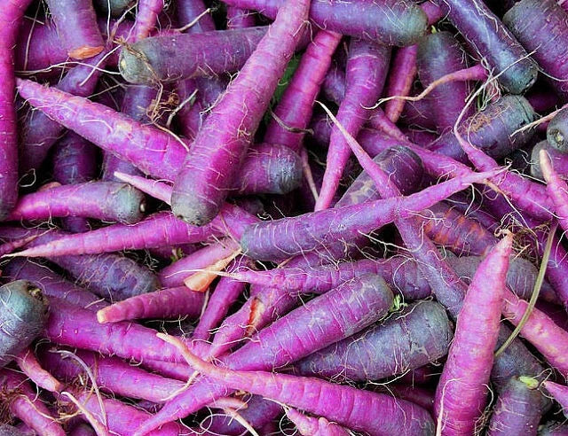 Cosmic Purple Carrot Seeds 300+ Non-GMO Vegetable Garden Seeds Daucus carota