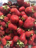Strawberry Seeds - Organic Sweet Non-GMO Berry - Homegrown Edible Garden - Fragaria × ananassa - USA