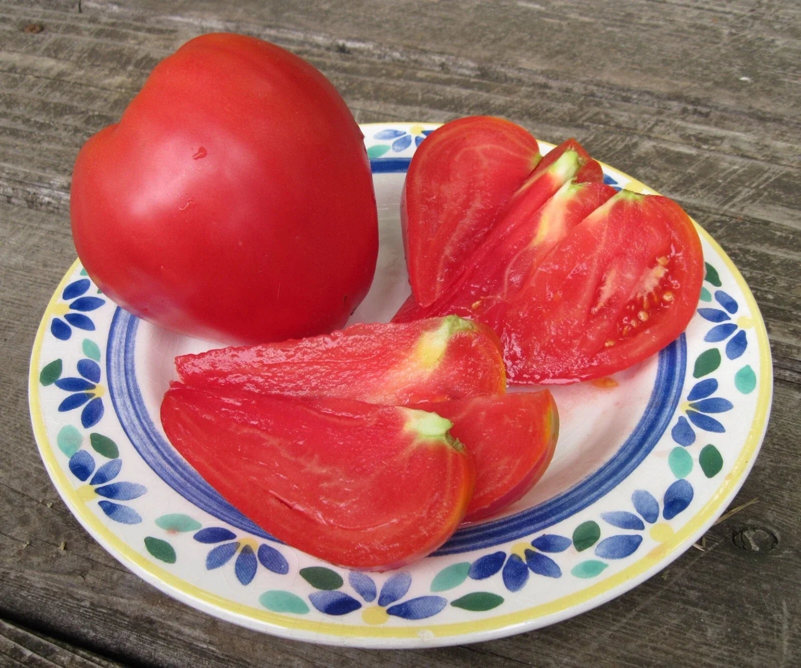 Anna Russian Tomato Seeds - 30+ Heirloom Organic NON-GMO - Rare Variety - Solanum lycopersicum