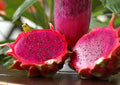 Red Dragon Fruit Seeds - 50 Seeds - Pitahaya Hylocereus - Red Pitaya - Tropical Fruit Seeds - Free Shipping