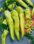 Hungarian Wax Hot Pepper Seeds - 25+ Pack for Garden Planting - Capsicum annuum - USA Grown - FREE SHIPPING