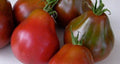 Black Truffle Tomato Seeds, NON-GMO, Japanese Black Trifele, Potato Leaf, Heirloom Variety