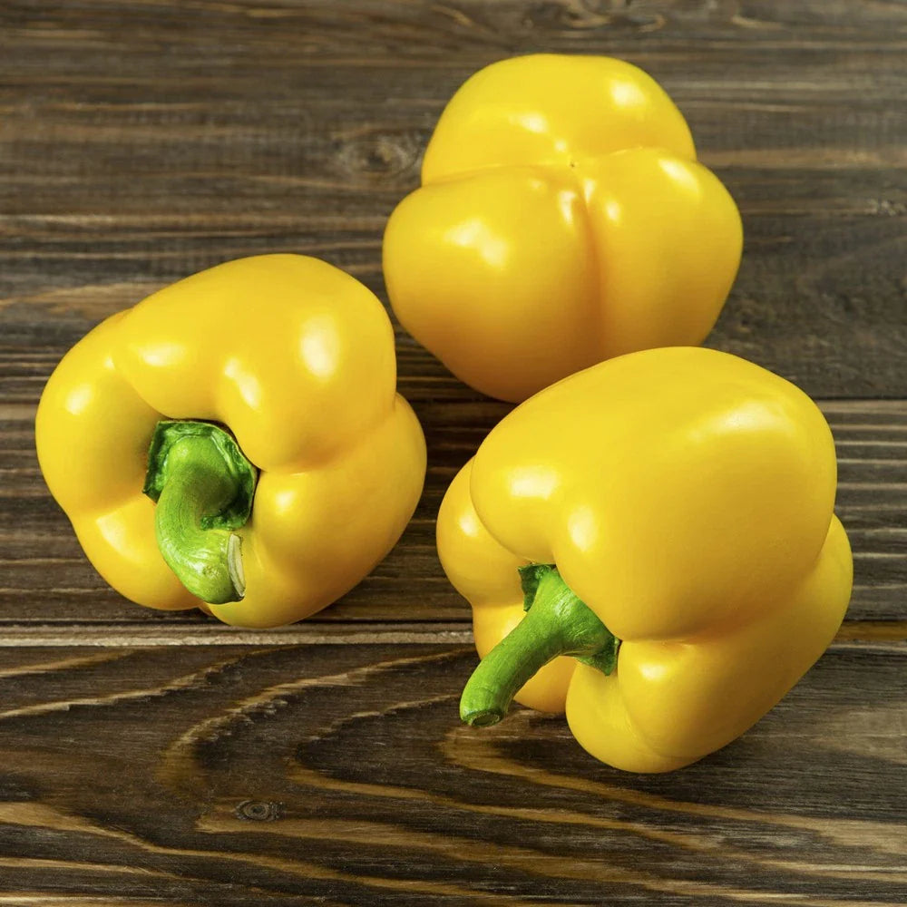 Mini Yellow Bell Pepper Seeds - Organic Non-GMO - 50+ Rare Seeds - Capsicum annuum