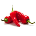 Fresno Hot Pepper Seeds | Non-GMO | Fresh Garden Seeds | Capsicum annuum
