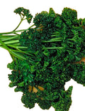 Forest Green Parsley Seeds 300+ Non-GMO Culinary Herb Petroselinum crispum