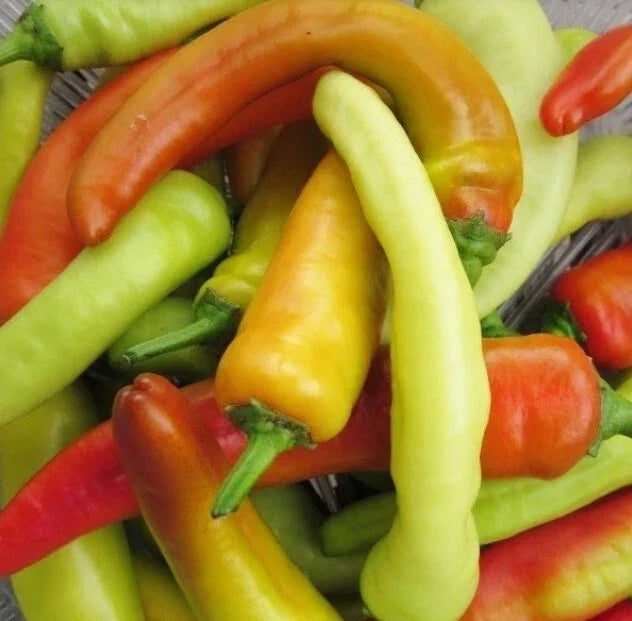 Hungarian Wax Hot Pepper Seeds - 200 Non-GMO Heirloom Hot Banana Pepper Seeds - Capsicum annuum